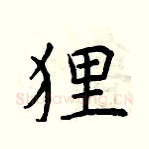 狸