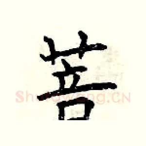 菩