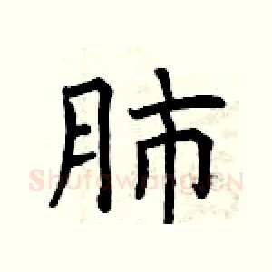 肺