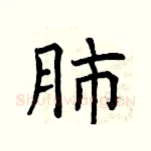 肺