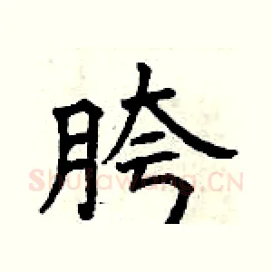 胯
