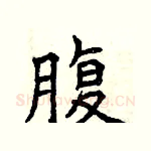 腹