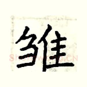 雏