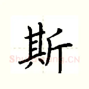 斯