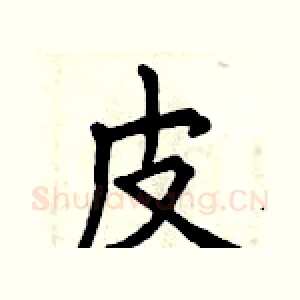 皮