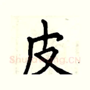 皮