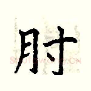肘