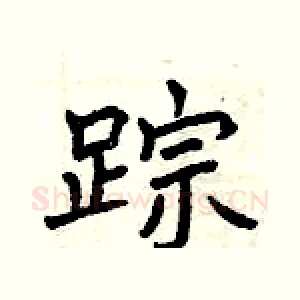 踪