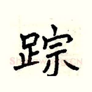 踪