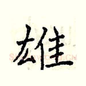 雄