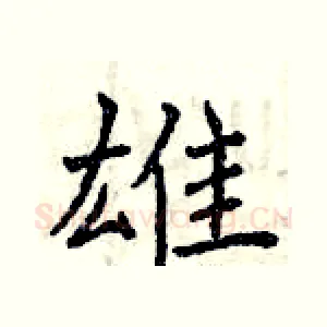 雄