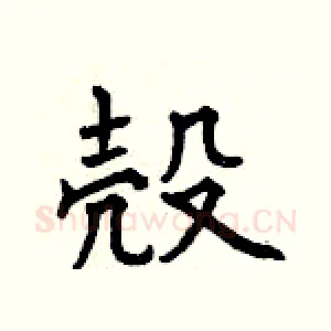殼