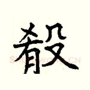 殽