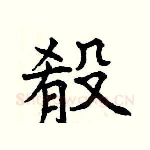殽