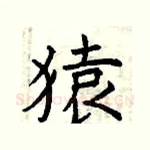 猿