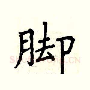 脚