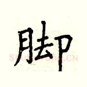 脚
