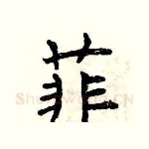 菲