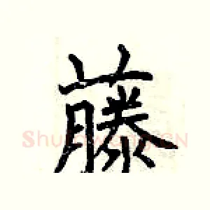 藤
