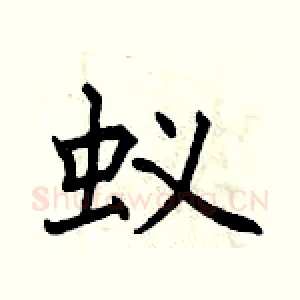 蚁