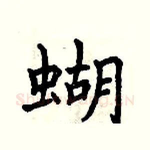 蝴