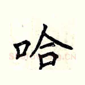 哈