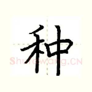 种