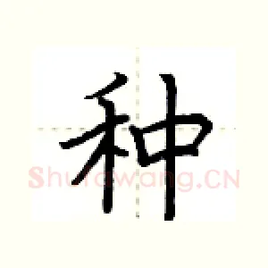 种