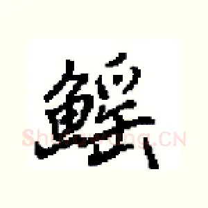鰩