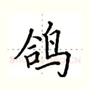 鸽