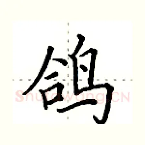 鸽
