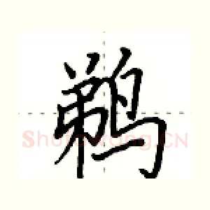 鹈