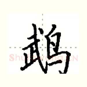 鹉