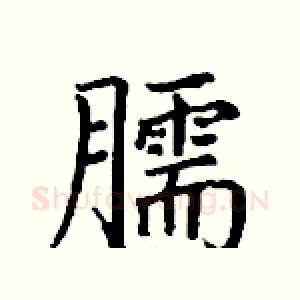 臑