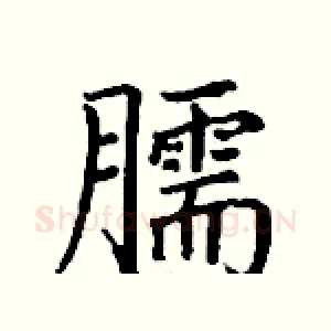 臑