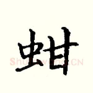 蚶
