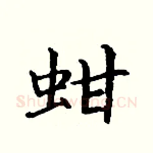 蚶