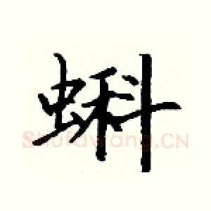 蝌