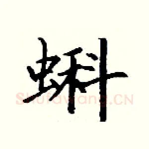 蝌