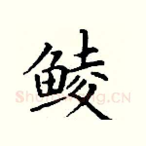 鲮