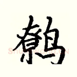 鹩