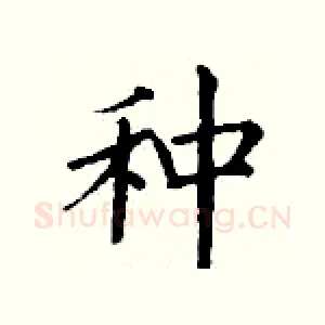 种