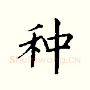 种