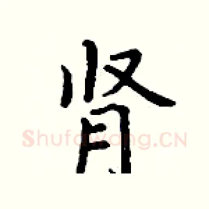 肾
