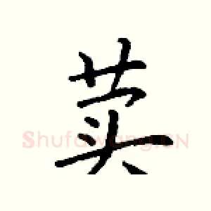 荬