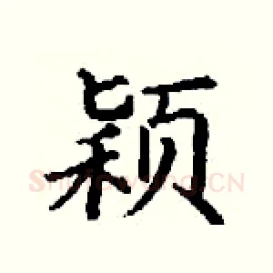 颖