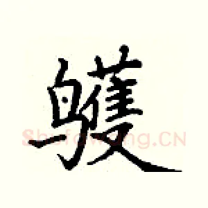 鹱