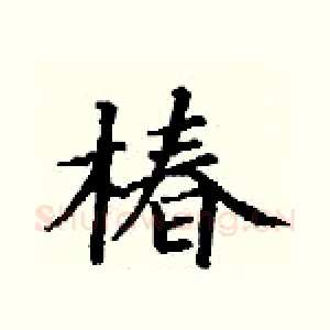椿