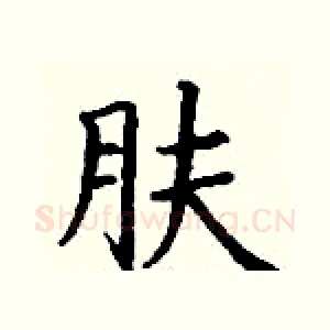 肤
