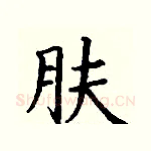 肤